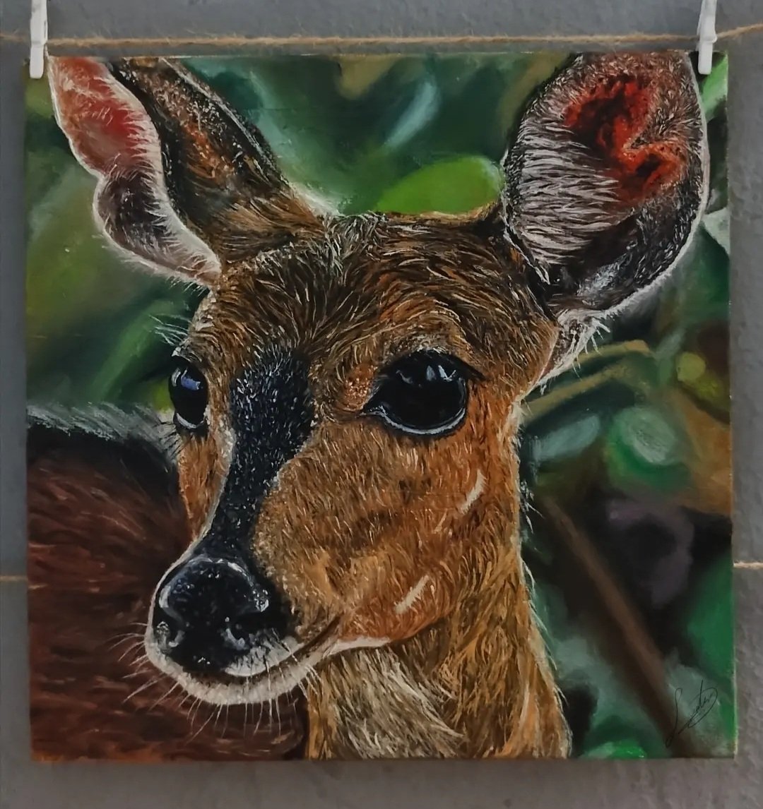 Forest Eyes